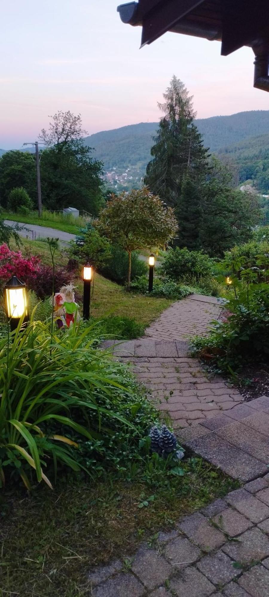 Muhlbach-sur-Munster Chalet Au Bois Des Ecureuils Classe Trois Etoiles. מראה חיצוני תמונה