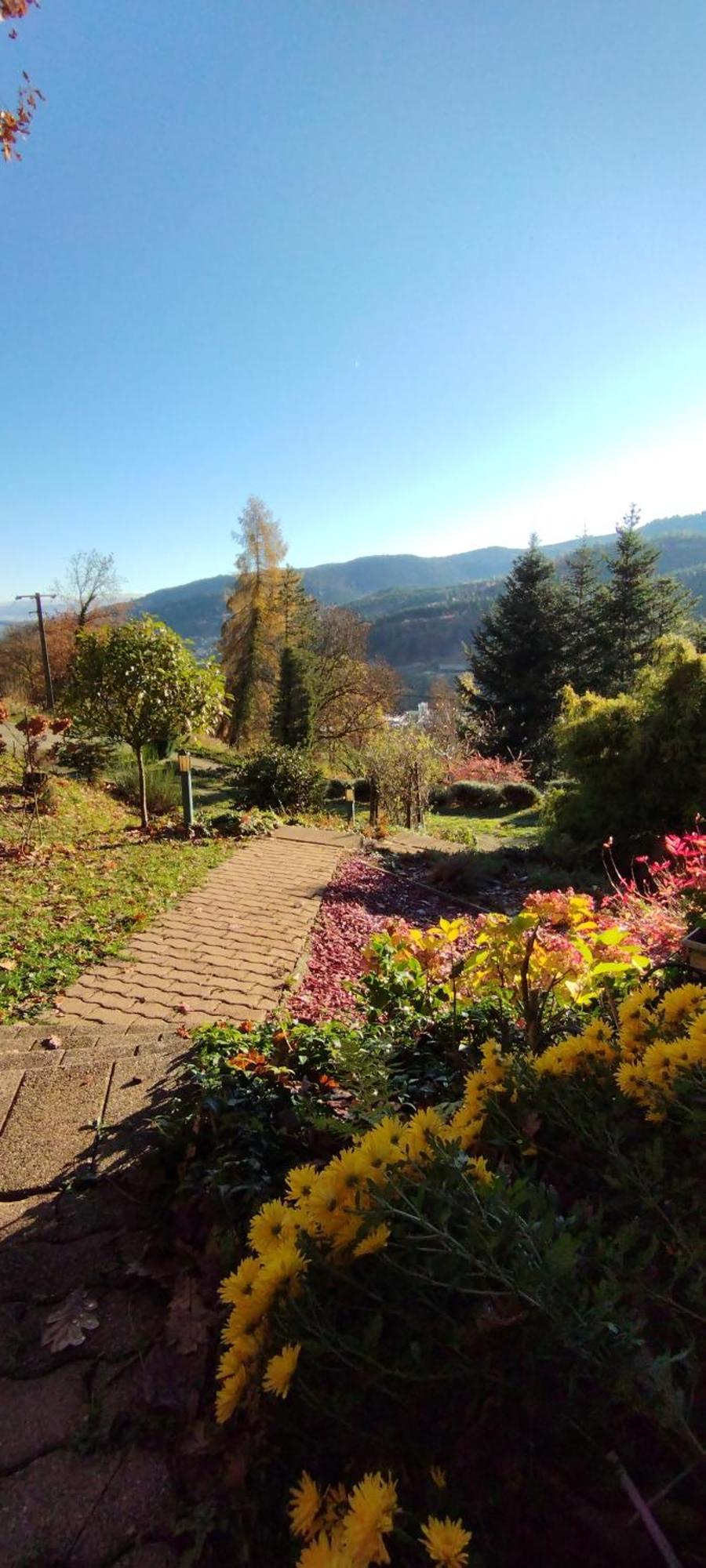 Muhlbach-sur-Munster Chalet Au Bois Des Ecureuils Classe Trois Etoiles. מראה חיצוני תמונה